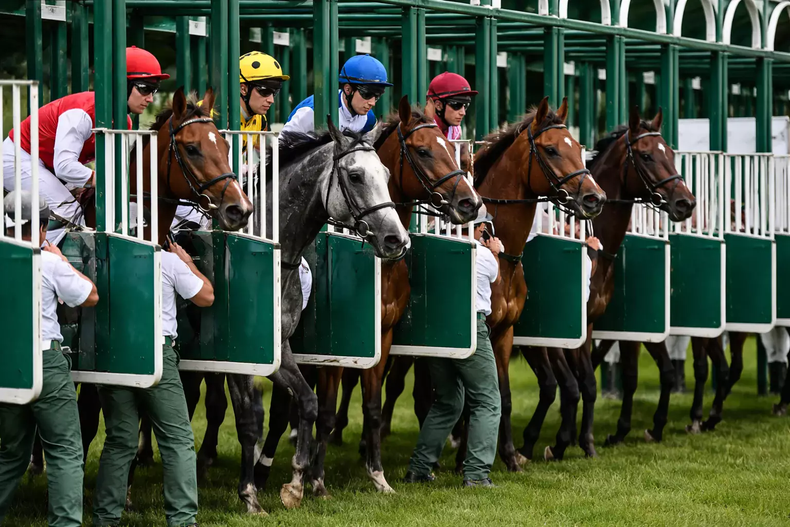 Startboxen mit Pferden vor dem Rennstart